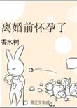 离婚前怀孕了by香水榭