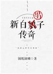 新白男子传奇txt资源