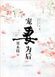 宠妻为后云一一