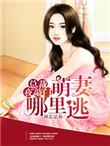 萌妻总裁100分全集