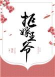 拒嫁天王免费阅读