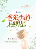 季先生的心尖宠全文免费阅读