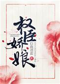 权臣的娇客txt