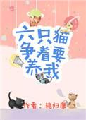 六只猫怎么养最旺财