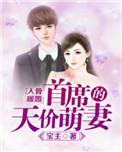 入骨宠婚误惹天价总裁未删版免费阅