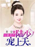 闪婚契约陆少宠妻上天 茶宝