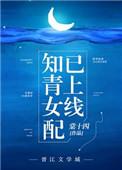 重生知青女配