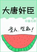 大唐DV