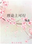 理论上可行听书