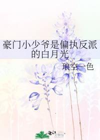 豪门小少爷是偏执反派的白月光讲的什么