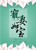 宠妻如令