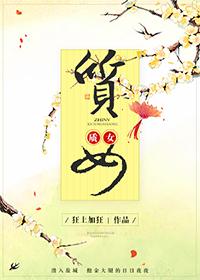 质女作者狂上加狂