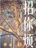 招你烦初禾txt百度