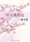 壮士一去