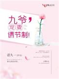 九爷宠妻无上限阅读