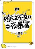 撩汉高手