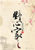 野心家歌词全文