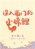 误入豪门在线阅读