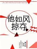 他如风掠夺笔趣阁全文免费阅读