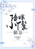 陪嫁丫鬟的作用