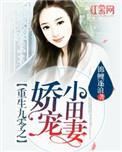 重生九零娇妻有点甜