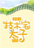 清穿之技术侧副福晋