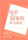 隐形富豪全文阅读