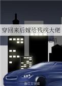 穿回来后嫁给残疾大佬讲的啥