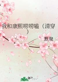 清穿之跟着康熙做科研