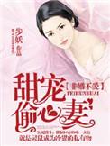 非婚不可 剧情介绍