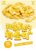 类似我家真的有金矿的