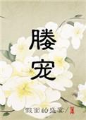 媵宠是什么意思