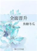 全面晋升TXT百度