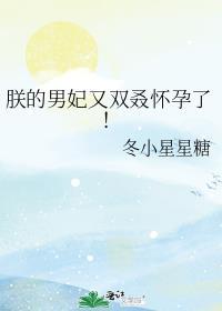 朕的倾世男妃们漫画