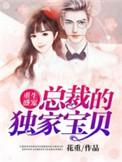 总裁的独家盛宠全文阅读