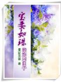 宝妻作品推荐