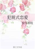 犯规式宠爱