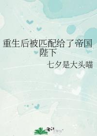 重生后被匹配给了帝国陛下差几岁