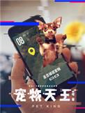 宠物天王漫画在线观看