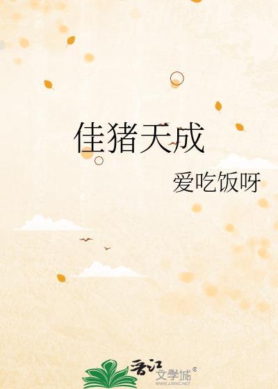 佳有天成电视剧