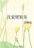 沈家家风