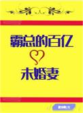霸总结婚
