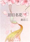 旧日是什么意思