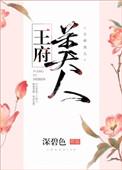 王府美人txt百度