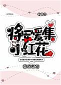 将军爱集小红花txt盘搜搜