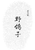 野鸽子是国家几级保护动物
