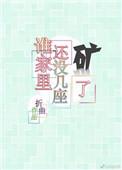 谁家还没几座矿