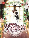 重生八零发家致富守娇妻