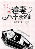 动漫一口气看完追妻八百里