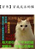 穿成反派的猫番外txt